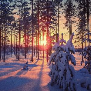 日本人屁股眼交
