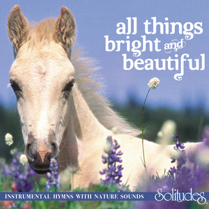 日本人屁股眼交
