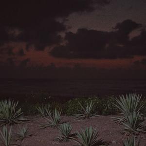 日本人屁股眼交
